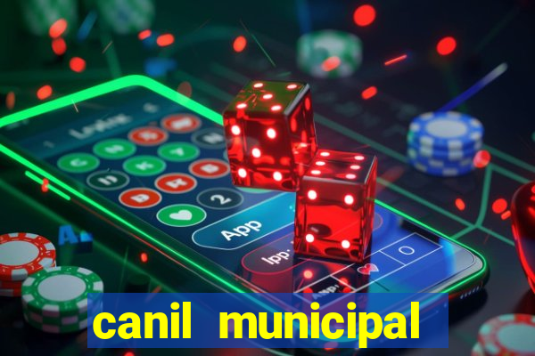 canil municipal porto alegre